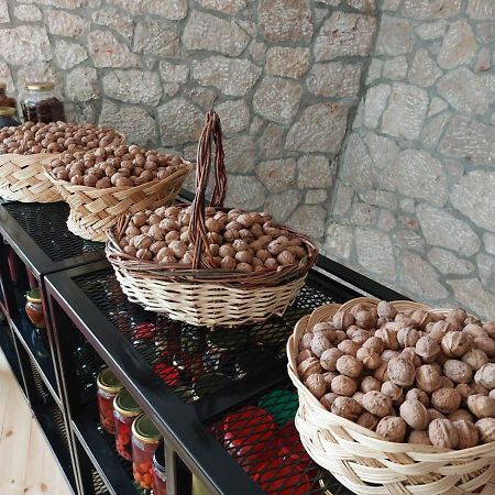 Vila Rira - Rrajce, Shebenik Perrenjas المظهر الخارجي الصورة
