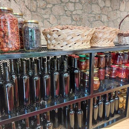 Vila Rira - Rrajce, Shebenik Perrenjas المظهر الخارجي الصورة