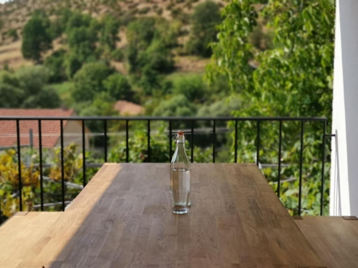Vila Rira - Rrajce, Shebenik Perrenjas المظهر الخارجي الصورة