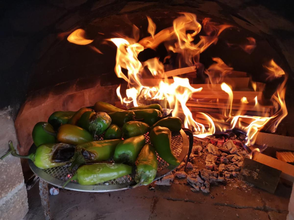 Vila Rira - Rrajce, Shebenik Perrenjas المظهر الخارجي الصورة