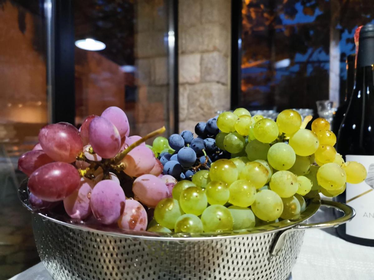 Vila Rira - Rrajce, Shebenik Perrenjas المظهر الخارجي الصورة