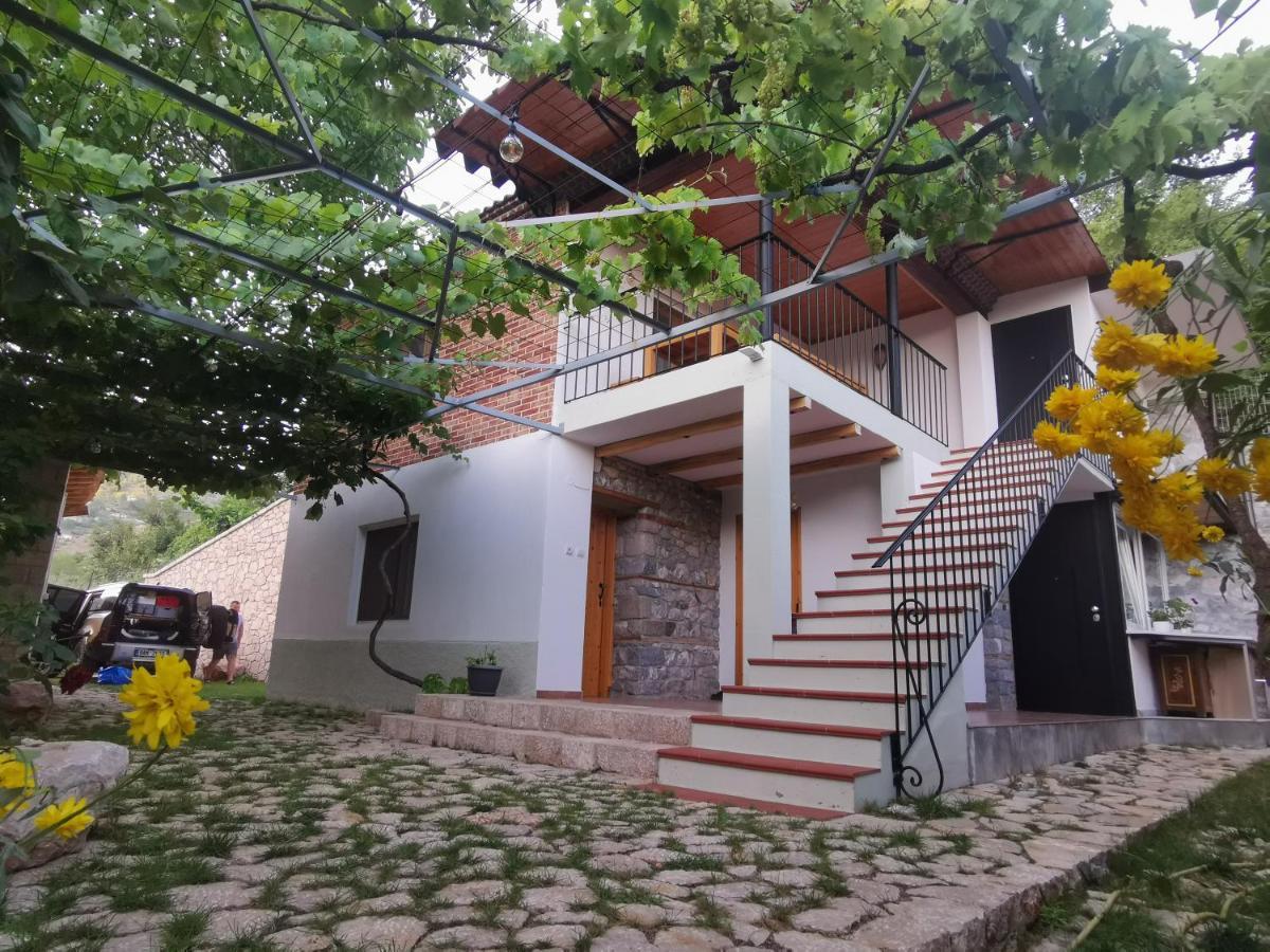 Vila Rira - Rrajce, Shebenik Perrenjas المظهر الخارجي الصورة