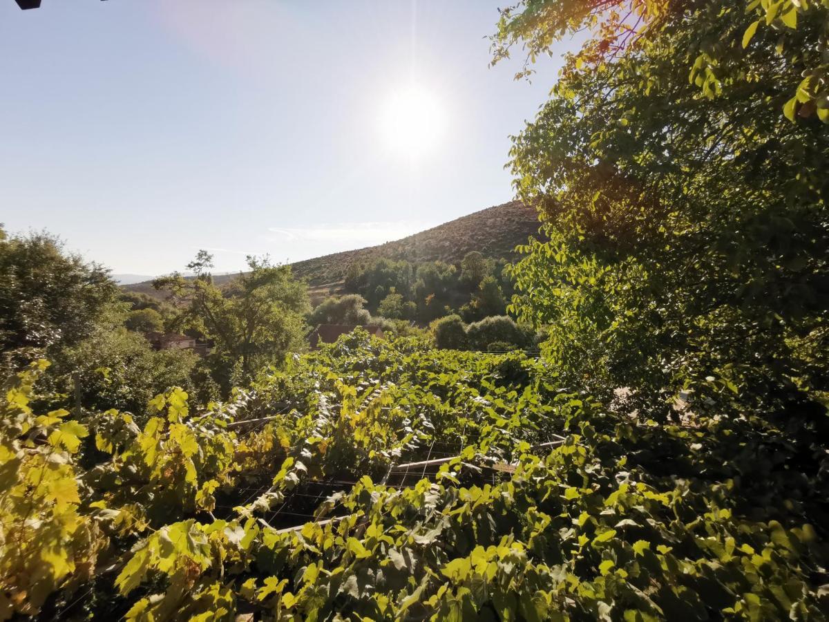 Vila Rira - Rrajce, Shebenik Perrenjas المظهر الخارجي الصورة
