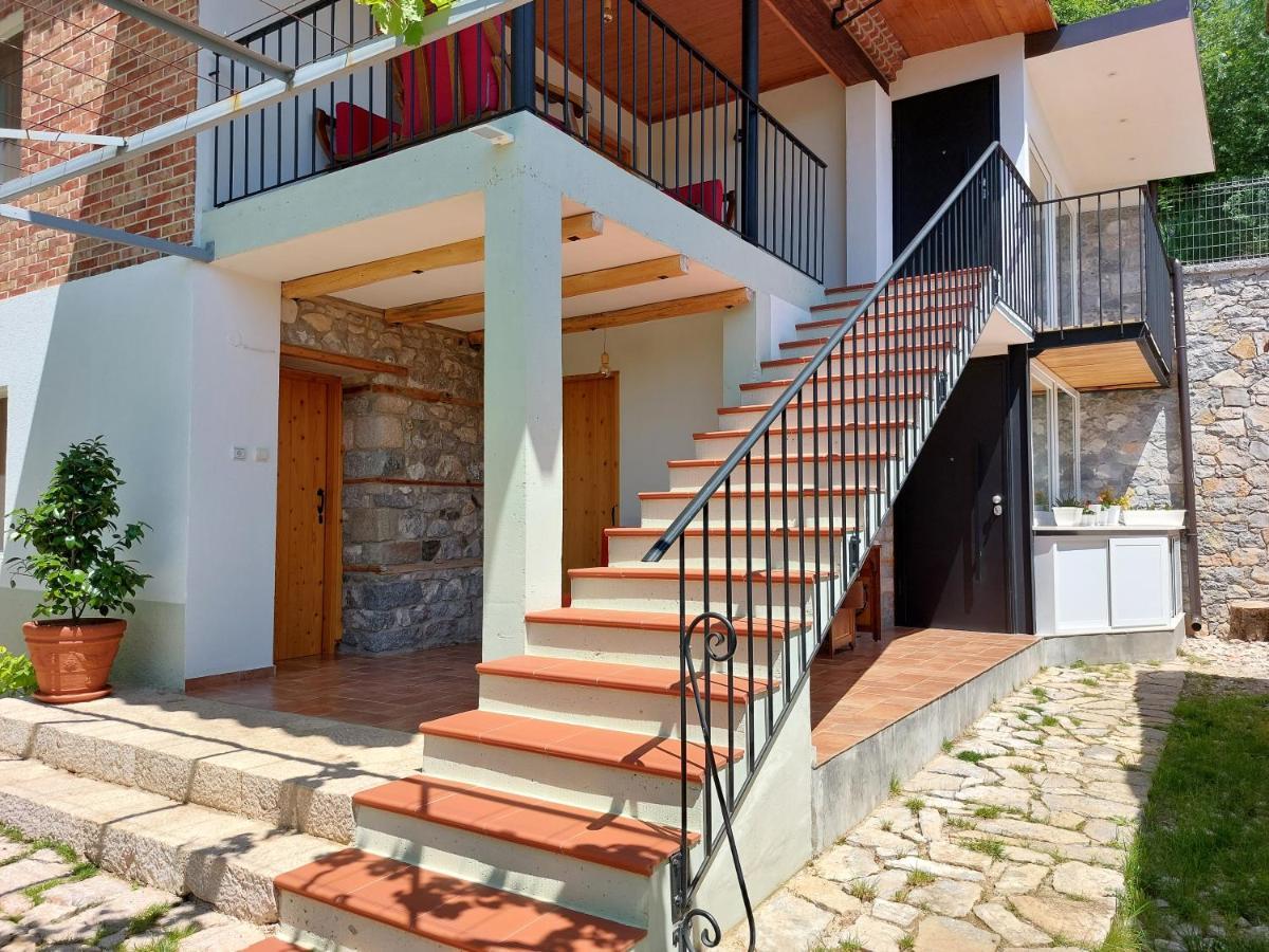 Vila Rira - Rrajce, Shebenik Perrenjas المظهر الخارجي الصورة