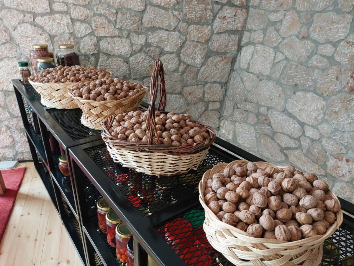 Vila Rira - Rrajce, Shebenik Perrenjas المظهر الخارجي الصورة